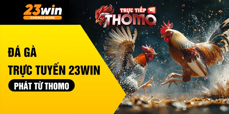 Đá gà trực tuyến 23win phát từ Thomo